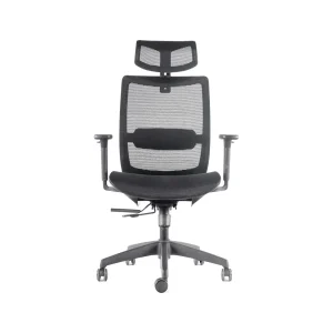 Silla Apolo