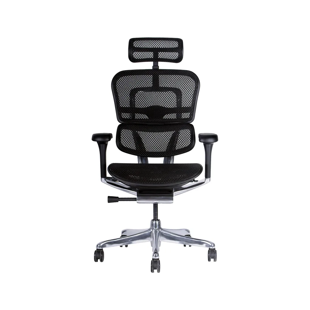 Silla Ergohuman Elite Malla