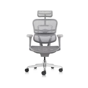 Silla Ergohuman Fit Gris Malla