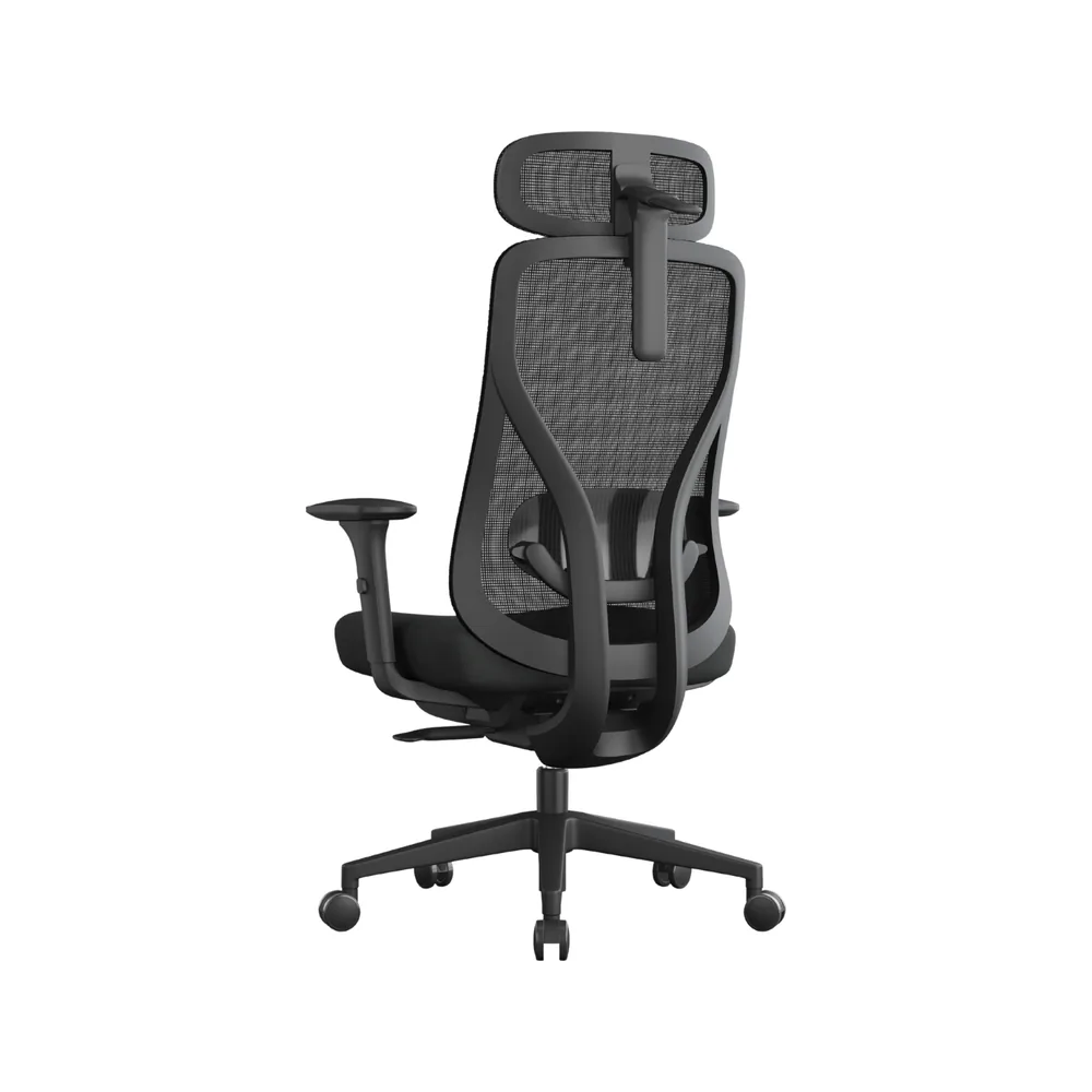 Silla Evora - Imagen 4